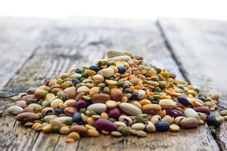 The Protein Myth